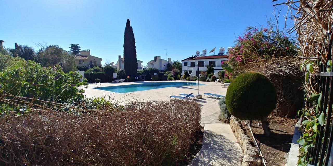 Apartament 'Chez Antoine' Pool-View 5Min From Sea Pafos Zewnętrze zdjęcie